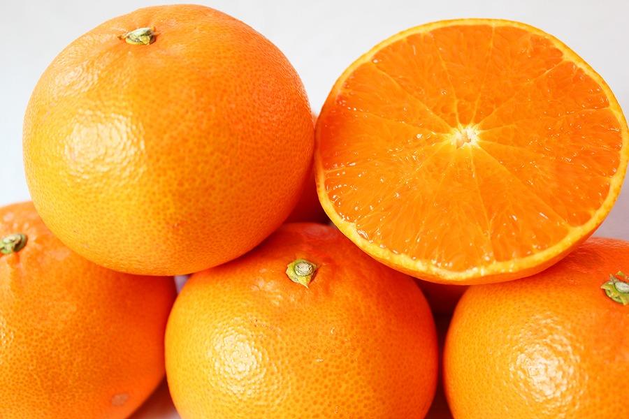 紀州有田産せとか約2.5kg　とろける食感！ジューシー柑橘［2027年2月上旬～2月下旬頃に順次発送］［先行予約］［UT02］