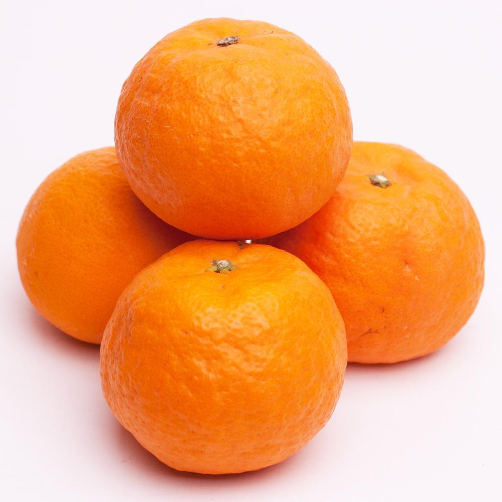 å
è¡äºçŽïŒœå³éž ã«ã©ãã³ããªã³1kg+250gïŒå·ã¿è£ååïŒïŒ»å接海ã»ãªã€ã¿ïŒœïŒ»åžå°ãªæ¥ææ©ïŒœïŒ»ã¿ãããšåãããã«é£ã¹ãããŸãIKE65