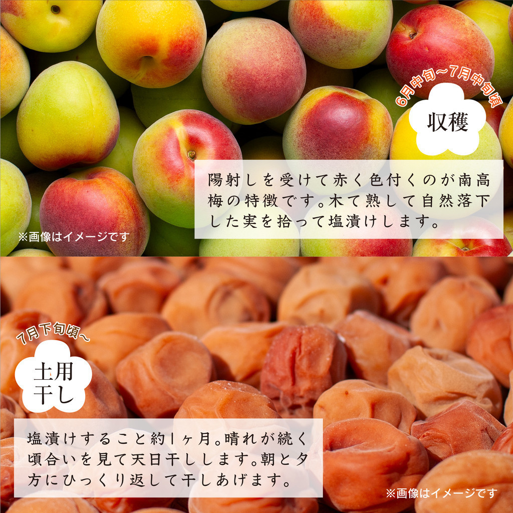 紀州南高梅つぶれ梅（はちみつ漬）と手作り金山寺みそ 各400g [AJ11]