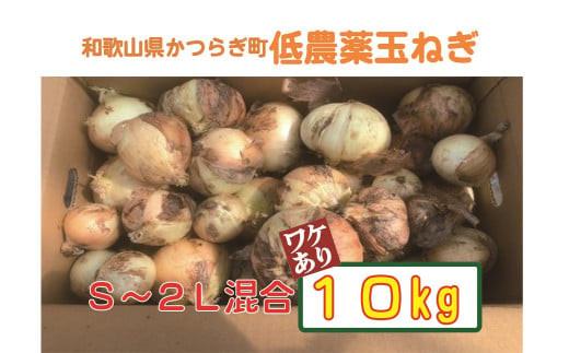 ［2026年発送分・先行予約］訳あり 農家さん直送 低農薬玉ねぎ 10kg程度 S～2L混合［4月中旬～7月中旬頃発送予定］ご家庭用 ※傷有り［KF14］