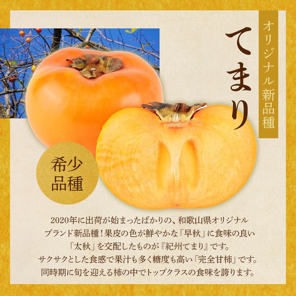 紀州てまり（和歌山県ブランド柿）6〜7個入 こだわり農家厳選 先行予約 ［2026年9月末から10月末頃順次発送］［KG27］