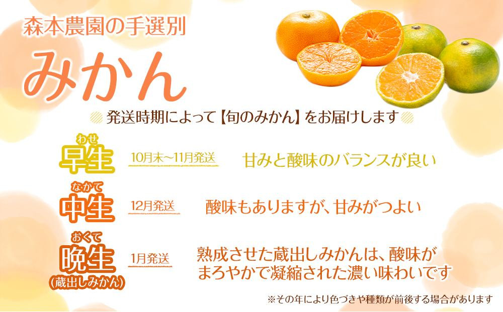 螳カ蠎ュ逕ィ 譽ョ譛ャ霎イ蝨偵ョ謇矩∈蛻・ 蟆冗イ偵∩縺九s 邏8kg 蜥梧ュ悟アア逵檎肇 2S繝サ3S繧オ繧、繧コ豺キ蜷 シサ蛹玲オキ驕薙サ豐也ク繝サ髮「蟲カ驟埼∽ク榊庄シスシサ2025蟷エ11譛井ク頑流縺九i鬆谺。逋コ騾シスシサRN62シス