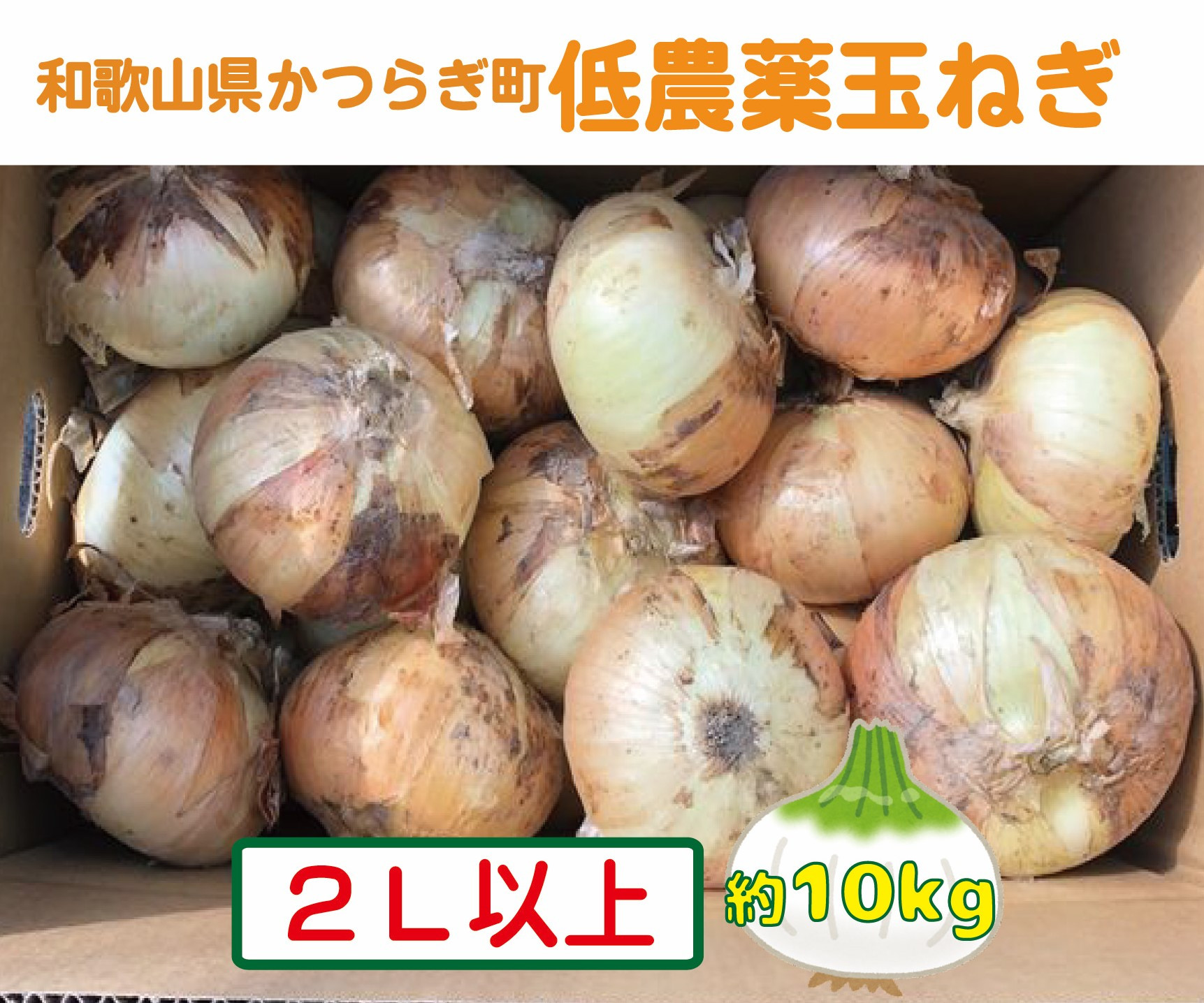 ［2026年発送分・先行予約］農家さん直送 低農薬玉ねぎ 2Lサイズ以上 10kg程度［4月中旬～7月中旬頃発送予定］［KF15］