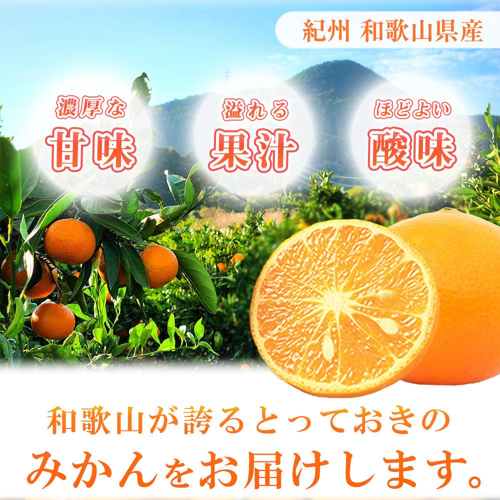 初夏のみかん なつみ3kg［2026年4月中旬以降発送］［先行予約］［UT56