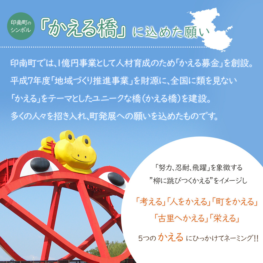 【大人気】【国産】こめ油 500g×12本 ［MS117］