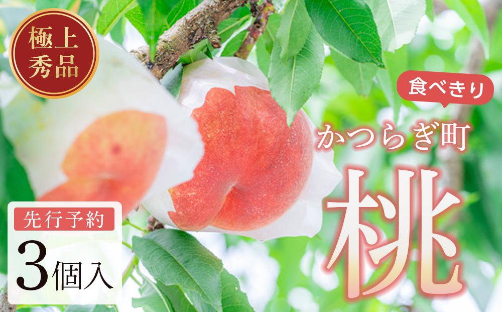 桃 極上秀品 食べきりやすい３個入 ［先行予約］［2026年6月下旬頃より順次発送］こだわり農家厳選！［KG1］