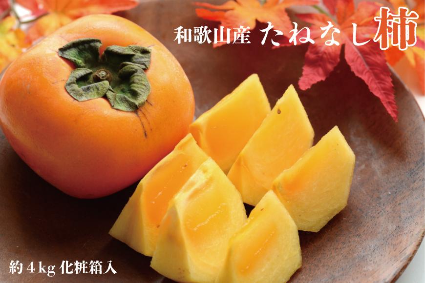 【秋の味覚】和歌山産たねなし柿2L〜4Lサイズ約4kg（化粧箱入り）★2026年10月頃より順次発送［TM192］