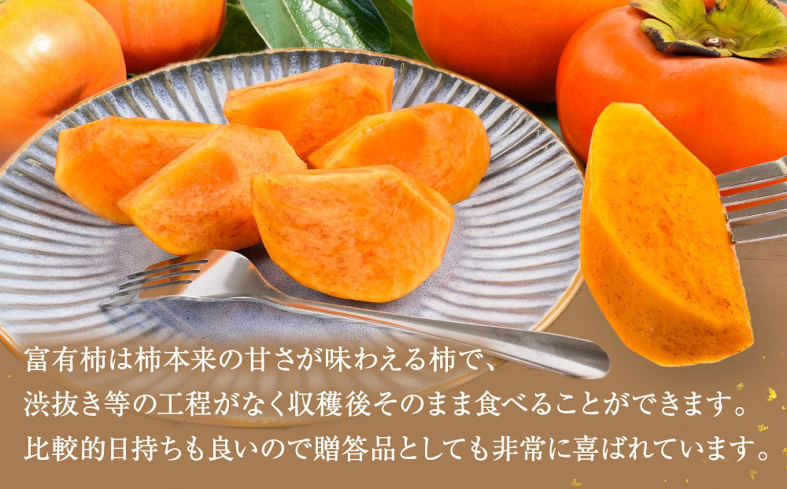 先行予約 富有柿 秀品6〜8個入り こだわり農家厳選［2026年11月初旬頃から12月上旬頃順次発送］［KG25］
