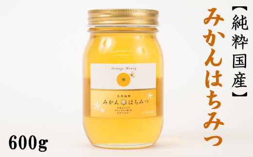 ［純粋国産］和歌山県産みかんはちみつ600g★2026年1月下旬発送［TM55］