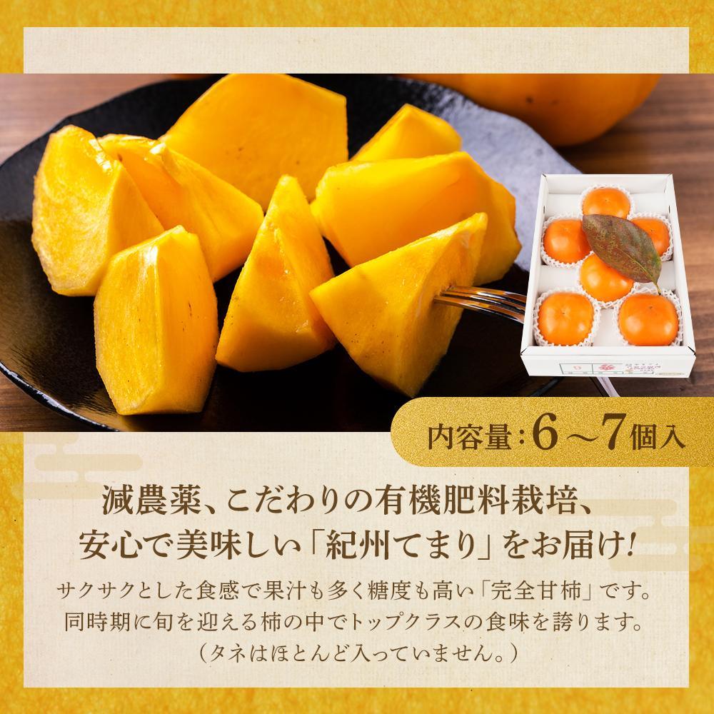 紀州てまり（和歌山県ブランド柿）6〜7個入 こだわり農家厳選 先行予約 ［2026年9月末から10月末頃順次発送］［KG27］