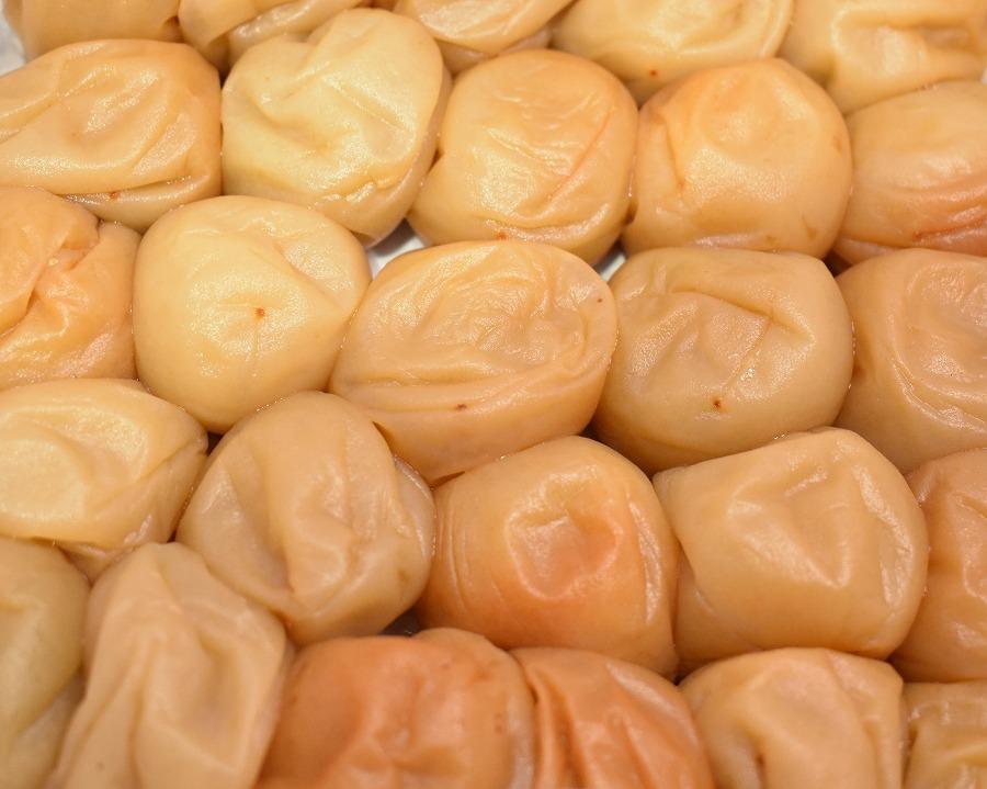 ãã®ããçšãé«çŽå髿¢
ããå¡©ã»ã¯ã¡ã¿ã€æ¢
èš800gå
¥ çŽå·å¡ç®± 網代暡æ§ä»äž ãSW76ã