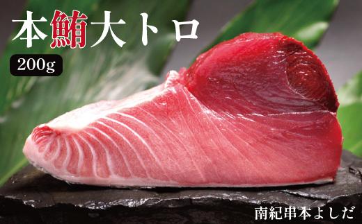 南紀串本よしだ 本鮪 大トロ サク 200g