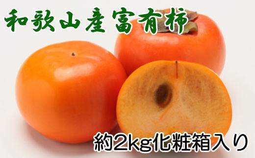 ［厳選・産直］和歌山産の富有柿約2kg（化粧箱入り）（2L〜4Lサイズ）★2026年11月頃より順次発送［TM59］