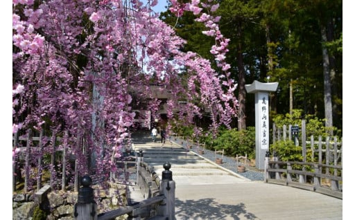 歴史・文化を継承し、自然・環境を保全する事業