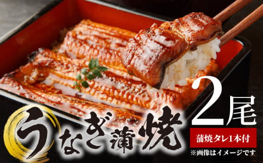 BC6006_うなぎ蒲焼 2本 角長特製蒲焼タレ 1本 セット 国産 安全 ふっくら うなぎ こだわり 蒲焼き 蒲焼 タレ うな丼 うな重 ひつまぶし う巻き うなむすび 土用 丑の日 水産加工品 魚介 海鮮 海産物 冷凍 和歌山県 湯浅町 お取り寄せ お取り寄せグルメ 送料無料