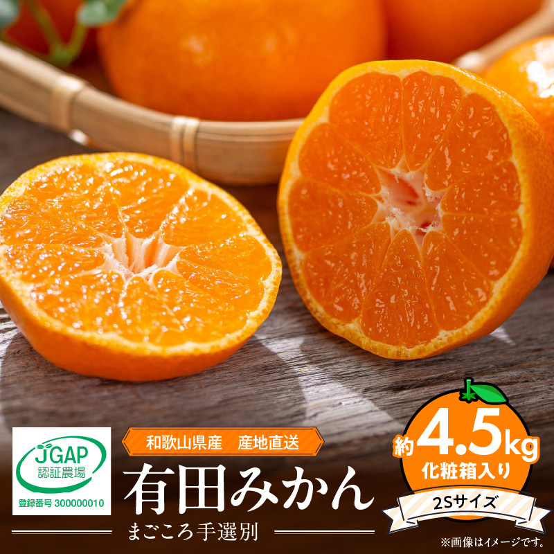 ZE6057n_æç°ã¿ãã åç²§ç®± çŽ4.5kg 2Sãµã€ãºããŸãããæéžå¥ã