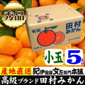 V7063_【2024年 先行予約】田村みかん 5kg 秀品【小玉サイズ】