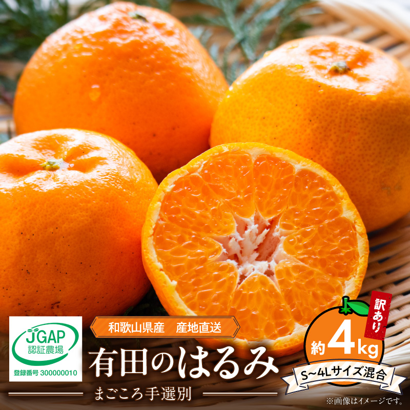 【2027年先行予約】和歌山県産 有田の はるみ 【訳あり 家庭用】 約4kg (S～4Lサイズ混合)_ZE6163n