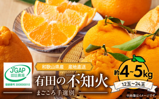 ZE6098n_【2026年先行予約】有田の不知火(しらぬひ) 約4kg～5kg　大玉12～24玉（M～４Lサイズ）まごころ手選別