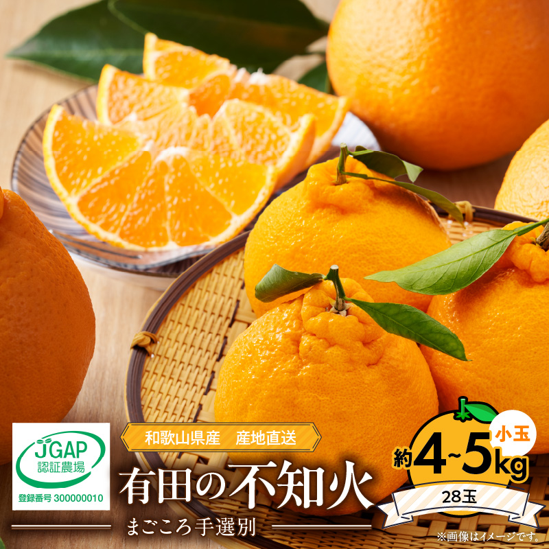 ZE6101n_有田の不知火(しらぬひ）約4kg～5kg　小玉28玉（Sサイズ）まごころ手選別