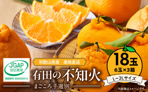 ZE6112n_【2026年先行予約】有田の不知火(しらぬひ)　6玉× 3箱（L～2Lサイズ）まごころ手選別