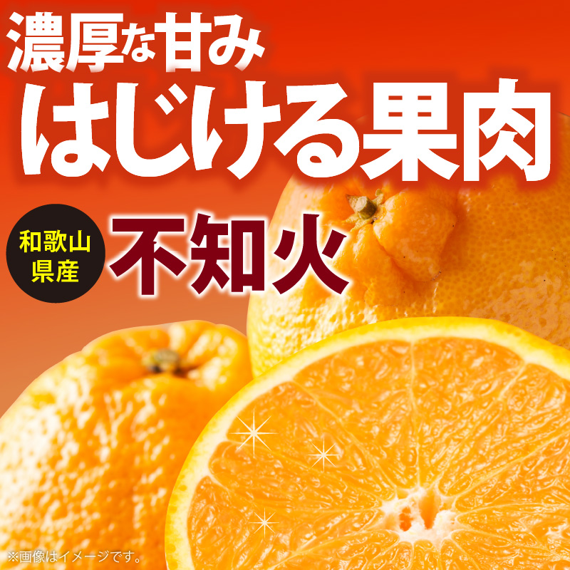 AB7314_（先行予約）こだわり農家の濃厚 不知火 (デコポンと同品種) 15～24玉(5kg)