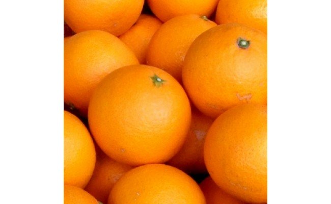 V7030_æž
èŠãªã¬ã³ãž çŽ4.5kg 湯æµ
çºç°æç£ æ¥ã¿ããïŒæå®ãµã€ãºããŸããïŒ/ çŽäŒåœå±æå·Šè¡éæ¬è