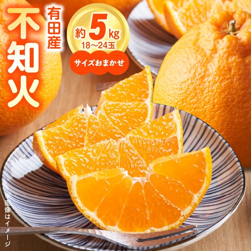【2027年先行予約】和歌山県有田産 不知火 5kg ひとつひとつ手選別で厳選！生産者から直送_ZN6002n