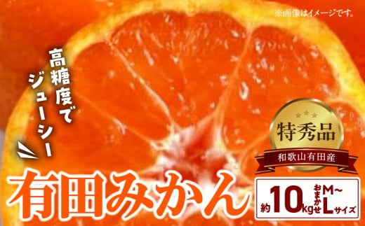 BD6034n_高糖度 有田みかん 特秀品 10kg (M～Lサイズおまかせ)【ミカン 蜜柑 柑橘 温州みかん 有田みかん 和歌山】