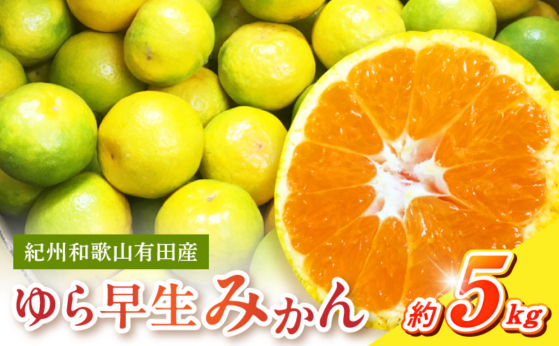 G7097_紀州和歌山有田産 ゆら早生みかん 5kg【ミカン 蜜柑 柑橘 温州みかん わせみかん】