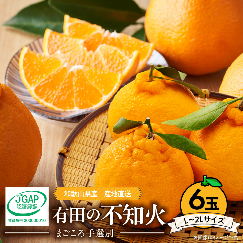 ZE6110n_有田の不知火(しらぬひ)　6玉 （L～2Lサイズ）まごころ手選別