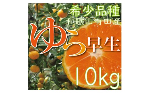 CC6200_濃厚な味わい ゆら早生みかん 10kg (SS～2Lサイズ混合) 希少品種 有機質肥料100％