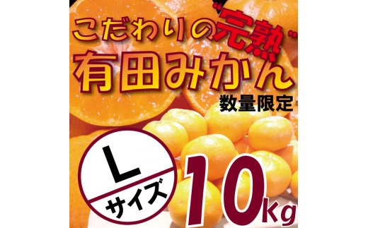 CC6204_＼農家直送／完熟 有田みかん 10kg Lサイズ 有機質肥料100%