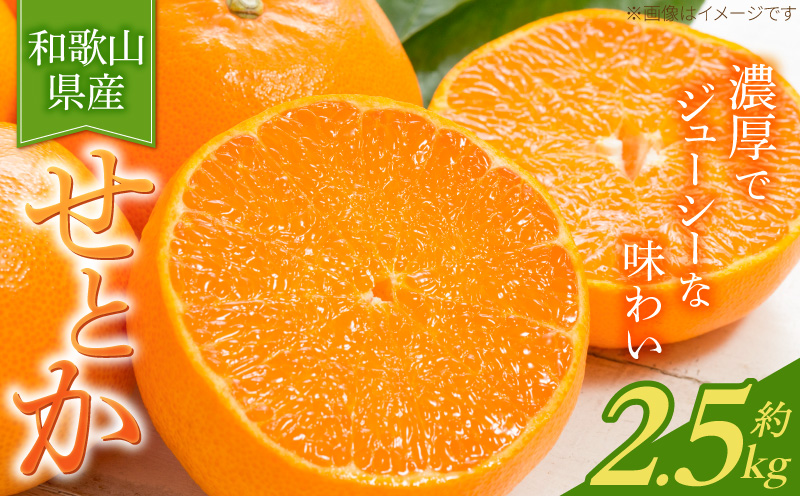 G7349_【2027年先行予約】とろける食感！ジューシー柑橘 せとか 2.5kg