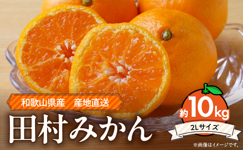 ZE6487_Y_【直営限定】【２０２５年先行予約】和歌山 湯浅町産 田村みかん 10kg【2L】
