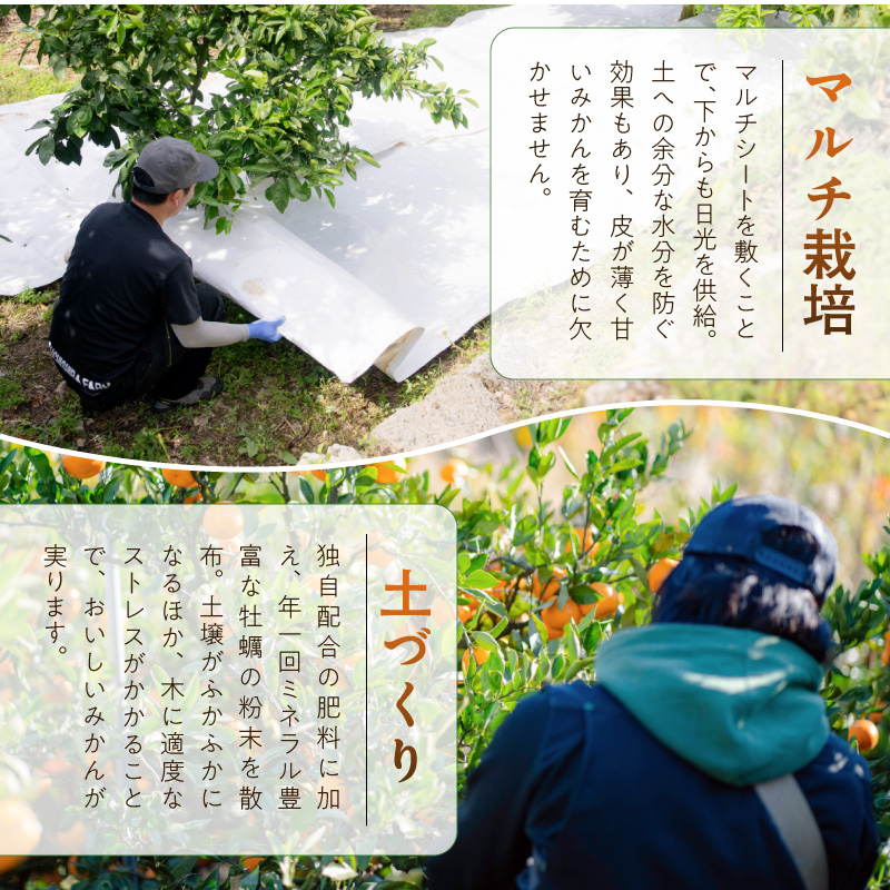 ZE6322n_和歌山の有田みかん 化粧箱入り 約5kg Mサイズ 【まごころ手選別】