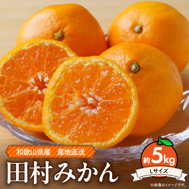 ZE6343n_和歌山 湯浅町産 田村みかん 5kg【Lサイズ】