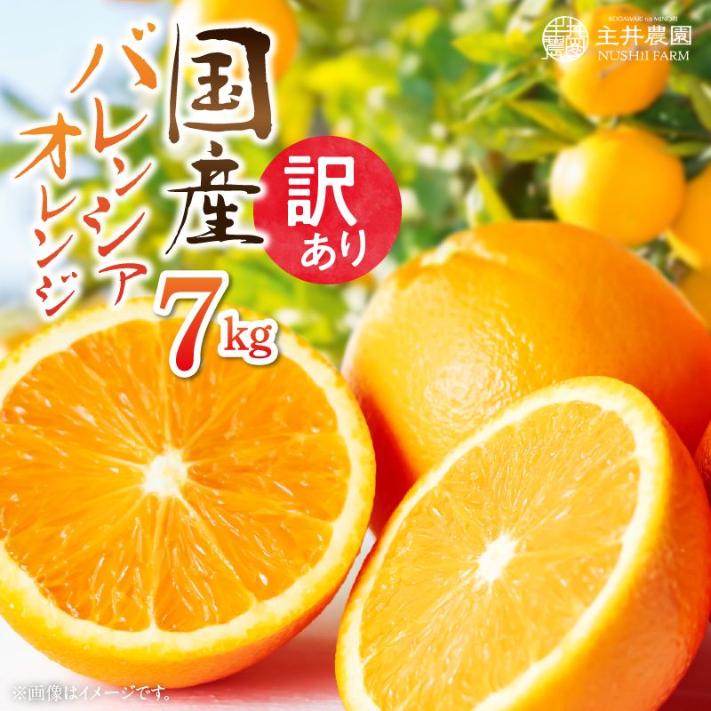 ZS6102n_主井農園 国産 バレンシアオレンジ 【訳あり 家庭用】 7kg