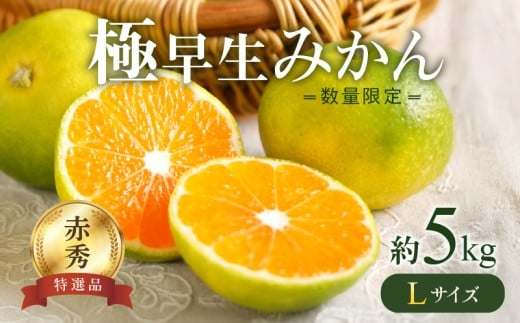 BF6038n_【2026年先行予約】 極早生みかん 5kg 赤秀 Lサイズ【ミカン 蜜柑 柑橘 温州みかん 有田みかん 贈答 ギフト わせみかん 和歌山】