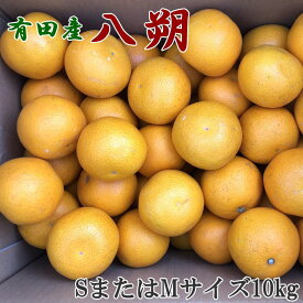 ZD6306n_【先行予約】【手選果】有田産の 八朔 10kg 小玉 (SまたはMサイズいずれかお届け)