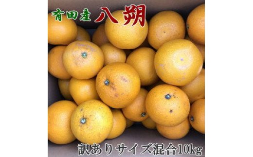 ZD6308n_【2027年先行予約】【手選果】有田産の 八朔【訳あり 家庭用】10kg(サイズ混合)