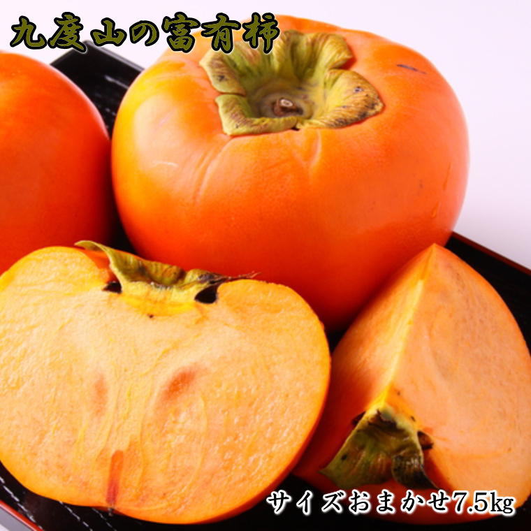 ZD6331_[柿の名産地]和歌山の 富有柿 約7.5kg サイズおまかせ