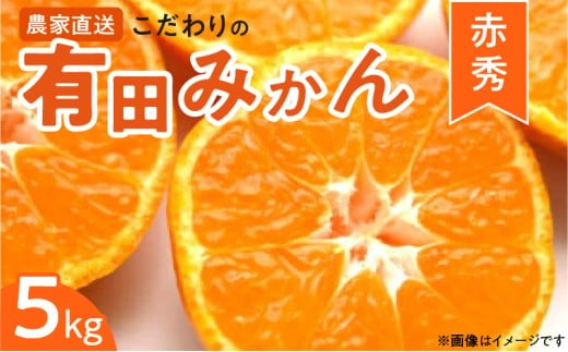 ZT6203n_こだわりの 有田みかん 赤秀 5kg 藤秀園