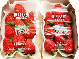 G7348_【2027年先行予約】 紀州和歌山ブランドいちご まりひめ 約280g×2P