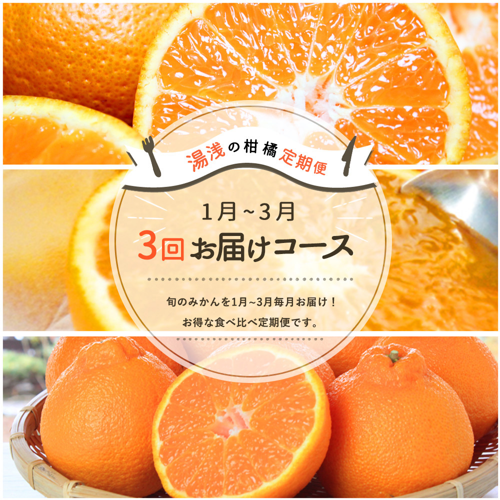 G60-T04_【訳あり】【定期便3回】湯浅町1月～3月毎月お届け柑橘お得定期便