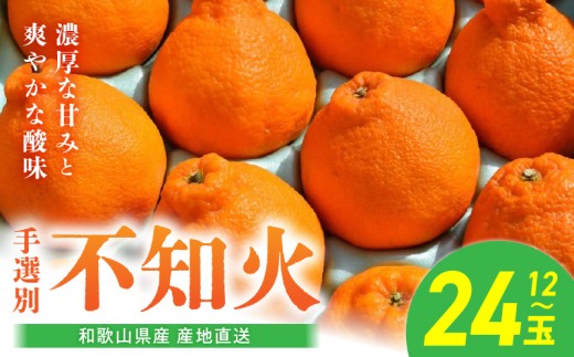 BL6016n_【産地直送】【2026年先行予約】和歌山県産 不知火 12玉～24玉【でこぽん デコポン しらぬい 不知火 柑橘】