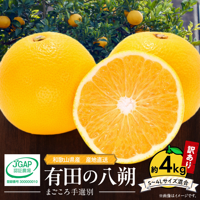 ZE6379n_和歌山県産 有田の 八朔 (はっさく)【訳あり 家庭用】4kg (S～4Lサイズ混合)【まごころ手選別】