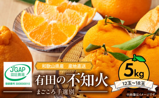 ZE6383n_【2026年先行予約】有田の不知火(しらぬひ) 5kg　12～18玉 （２L～４Lサイズ） 手選別 国産 有田のしらぬひ 産地直送 有田 有名 柑橘 果物 果実 フルーツ バランスの良い甘さ 甘い 食品 食べ物 あしのや お取り寄せ 和歌山県 湯浅町 送料無料