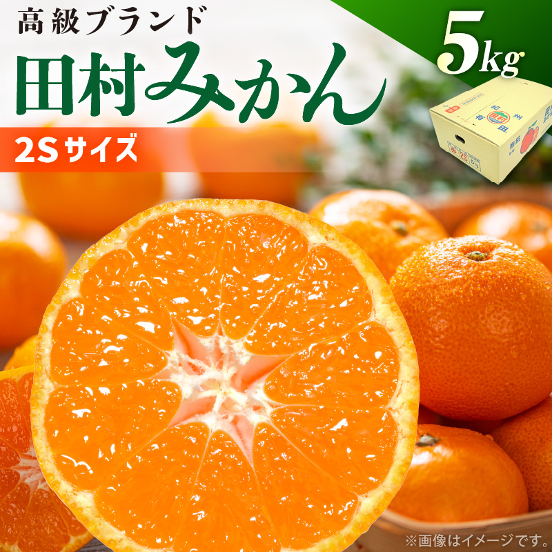 DN6014_【2026年先行予約】田村みかん 秀品 約 5kg 2Sサイズ 高級ブランド 田村みかん 小玉 みかん 温州みかん フルーツ 果物 柑橘 果汁 ジューシー 赤秀品 青秀品 国産 食品 食べ物 期間限定 お取り寄せ 和歌山県 湯浅町 送料無料