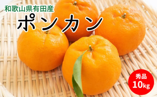 U6227n_【2026年先行予約】ポンカン 秀品 約10kg 和歌山県有田産
